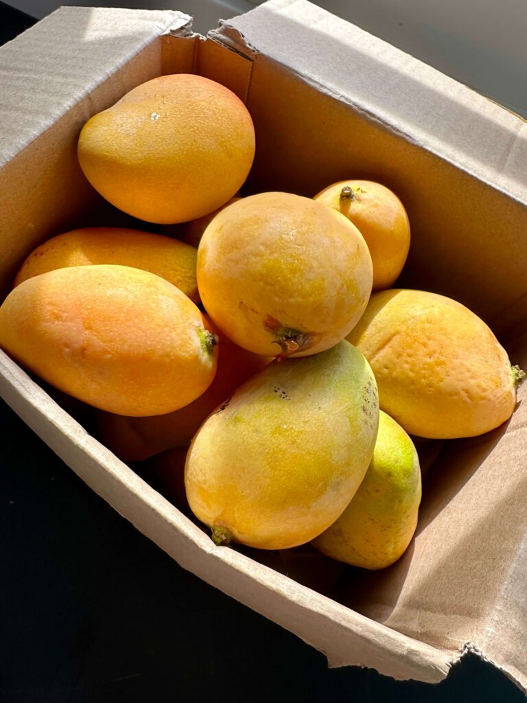 caja de cartón con mangos maduros